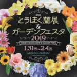 とうほく蘭展&ガーデンフェスタ2019 1/31(木)~2/4(月) 夢メッセみやぎで開催 チケット