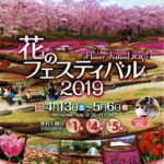 みちのく公園 花フェスティバル2019 4/13~5/6 春の花で華やかに彩られる