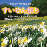 みやぎ蔵王えぼし「すいせん祭り」2019 4/19(金)~開催 イベント